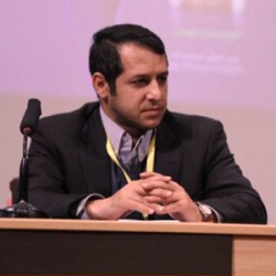 دکتر  سبط الشیخ انصاری